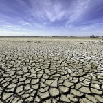 Council launched to fight climate change in the UAE