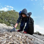 How are youngsters are keeping the city beautiful?