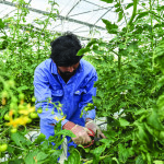 We need to support our farmers – here’s how to do it