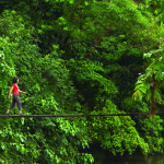 Escape the desert for these beautiful green adventures