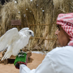 Culture and heritage come alive at the annual equestrian and hunting exhibition