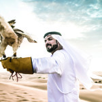 Want to learn more about the history and heritage of the UAE?