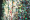 culture_03