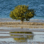 Are your daily habits wreaking havoc on the environment?