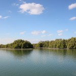 How can this study in the capital unlock climate change?