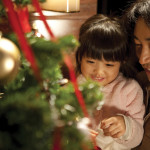 What does Christmas look like all over the world?