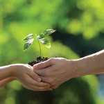 Why gardening is the future of education