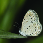 Local researchers have made two amazing new discoveries