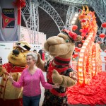 Tickets to Chinese New Year at Ferrari World