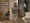 giphy
